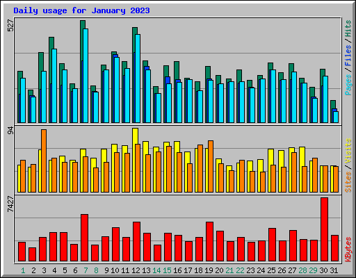 Daily usage for January 2023