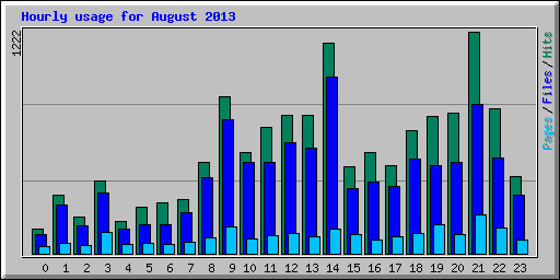 Hourly usage for August 2013