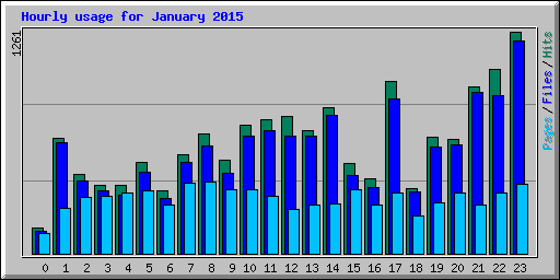 Hourly usage for January 2015