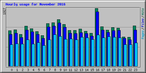 Hourly usage for November 2016