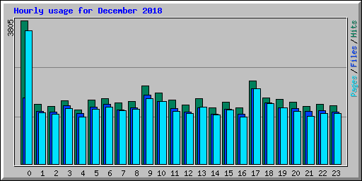 Hourly usage for December 2018