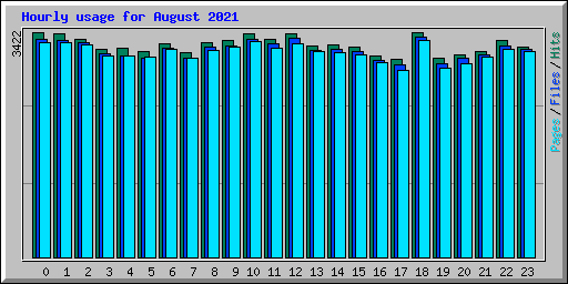 Hourly usage for August 2021