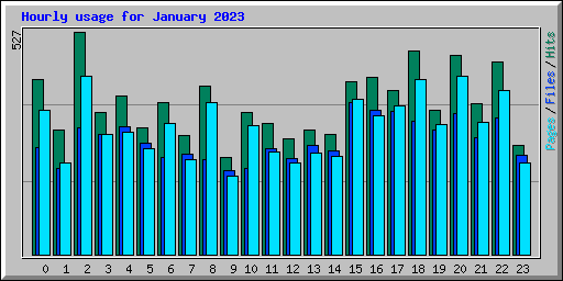 Hourly usage for January 2023