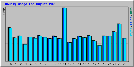 Hourly usage for August 2023