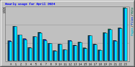 Hourly usage for April 2024