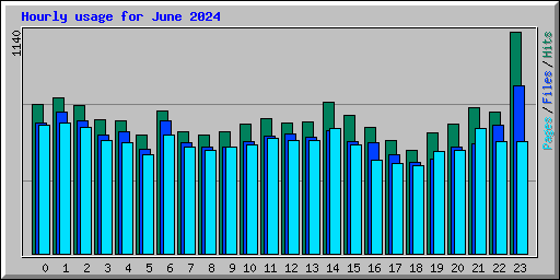 Hourly usage for June 2024