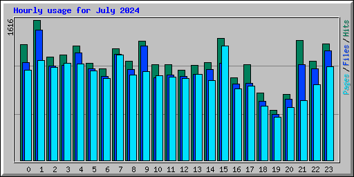 Hourly usage for July 2024