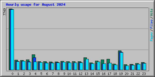 Hourly usage for August 2024