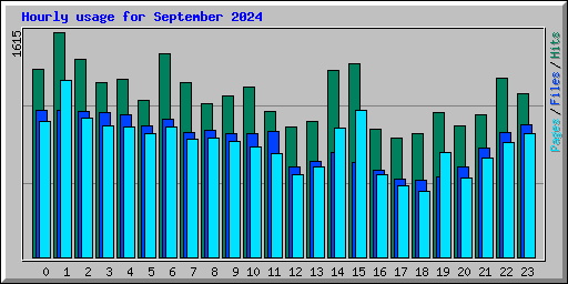 Hourly usage for September 2024