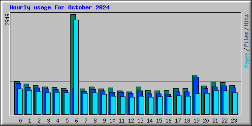 Hourly usage for October 2024