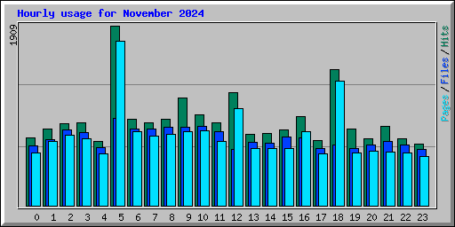 Hourly usage for November 2024