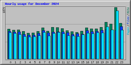Hourly usage for December 2024