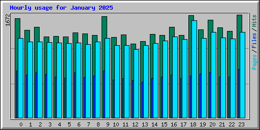 Hourly usage for January 2025
