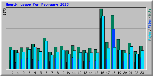 Hourly usage for February 2025