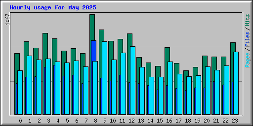 Hourly usage for May 2025