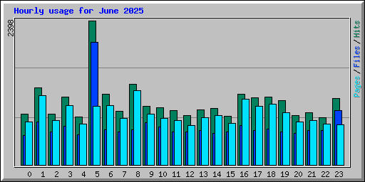 Hourly usage for June 2025