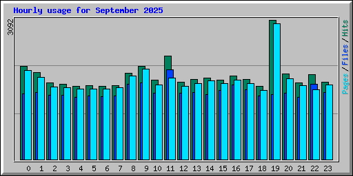 Hourly usage for September 2025