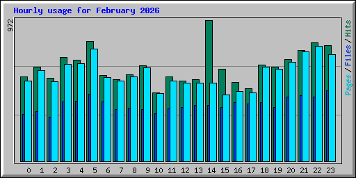 Hourly usage for February 2026