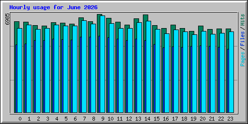 Hourly usage for June 2026